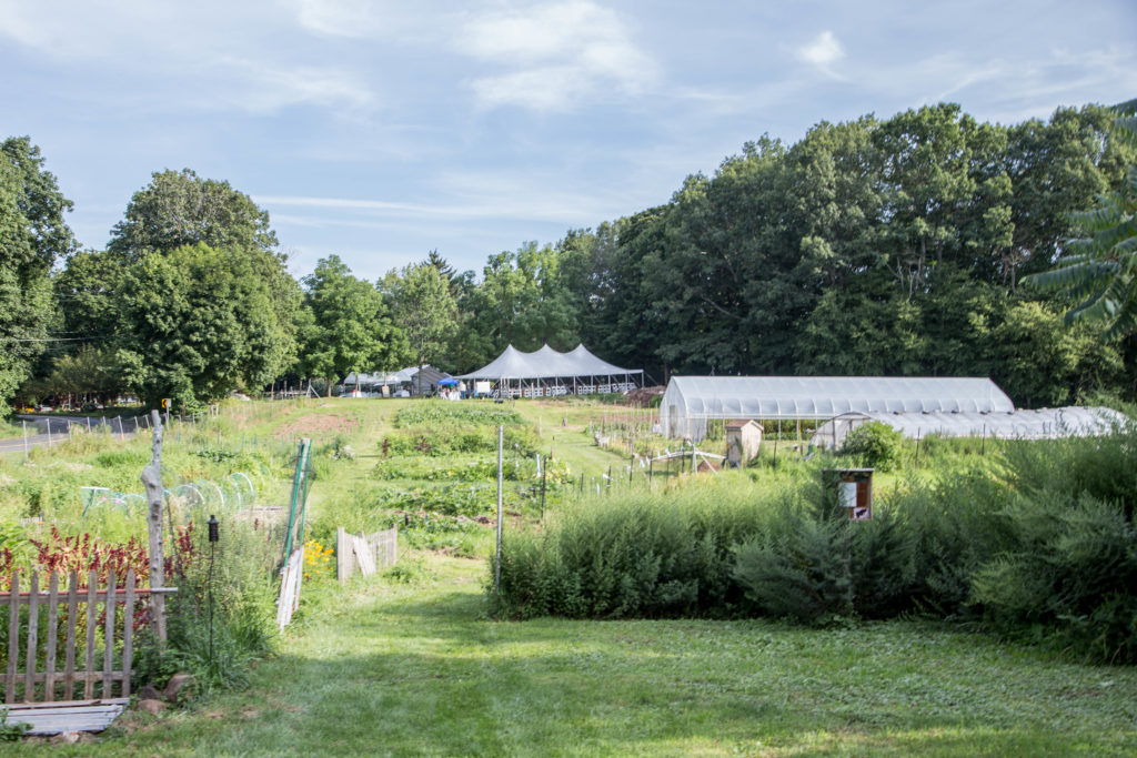 Friends Of Boulder Knoll Farm To Your Table Dinner Friends Of Boulder Knoll